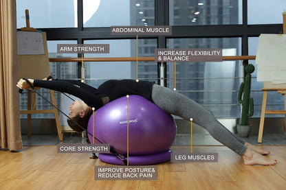 Yoga Ball Chair, Exercise Ball with Leak-Proof Design, Stability Ring&2 Adjustable Resistance Bands for Any Fitness Level, 1.5 Times Thicker Swiss Ball for Home&Gym&Office&Pregnancy (65 Cm)
